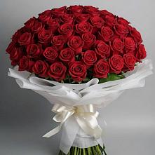 Букет 101 Красная роза Блэк Мэджик в Зайцево