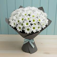 Букет цветов из:  Хризантемы #REPLACE_PRED# Зайцево