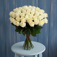 Букет 51 Белая роза Эдлесс Лав #REPLACE_PRED# Зайцево