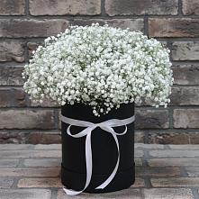 Цветочная композиция из Гипсофила в шляпной коробке в Зайцево