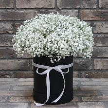 Цветочная композиция из Гипсофила в шляпной коробке в Зайцево