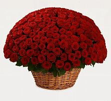 Премиум букет из: Розы в Зайцево